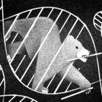 How to Survive a Bear Attack