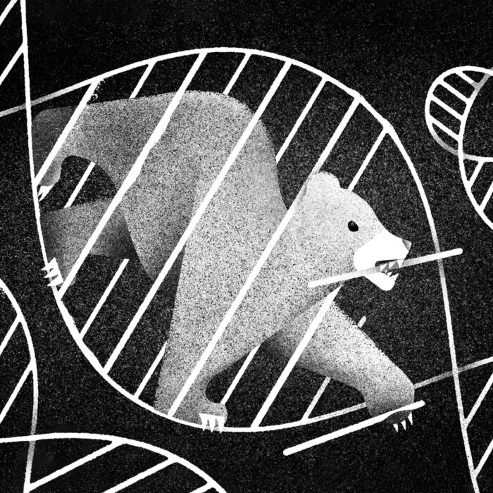 In her memoir How to Survive a Bear Attack, Claire Cameron intertwines personal history with investigative journalism. After being diagnosed with a rare genetic mutation that leads to cancer, she delves into a 1991 predatory black bear attack in Algonquin Park—an event that has haunted her since childhood.