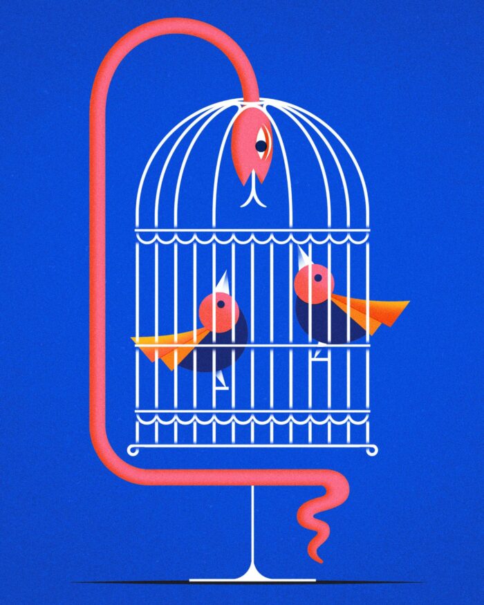 Bird Cage – Editorial